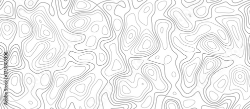 Topographic map background geographic line map with elevation assignments. Design illustration for wall art, fabric, packaging, web, banner, wallpaper.