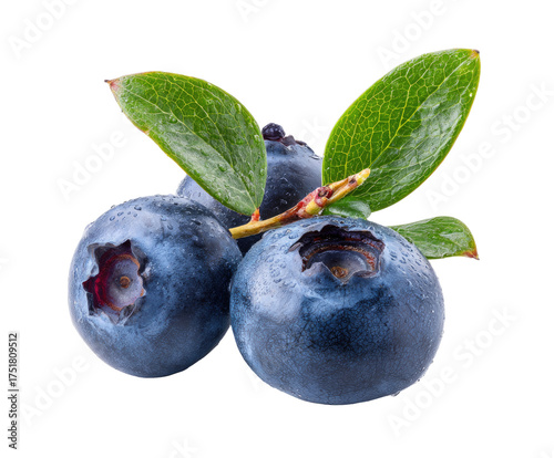 Close-up of fresh blueberries with leaves (1)