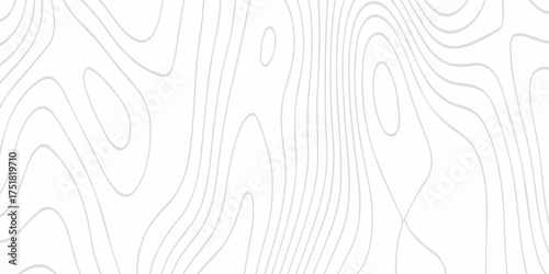Black and white lines seamless Topographic map patterns, topography line map. Vintage outdoors style. The stylized height of the topographic map contour in lines and contours isolated on transparent.	