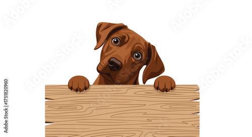 A curious brown dog peers over a wooden sign with a tilted head.