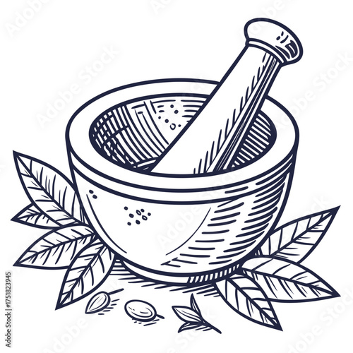 A vintage style hand drawn illustration of a mortar and pestle with fresh herbs and spices surrounded by green leaves and seeds on a white background