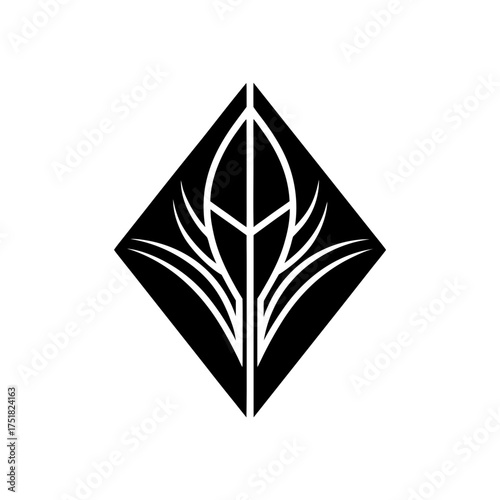 Abstract floral design in a diamond on transparent background silhouette