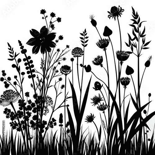 Abstract black silhouettes of meadow wildflowers and grasses creating a natural organic and artistic background design