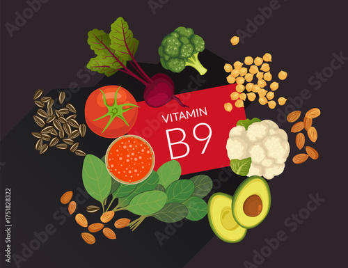 Healthy food high in Vitamin B9 (folate) - Stock Illustration