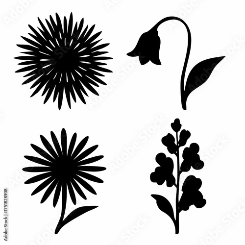 Collection of three distinct floral silhouettes a spiky firefly chrysanthemum a delicate bluebell and a tall snapdragon