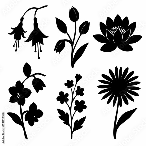 Elegant floral silhouette design featuring fuchsia bell flowers tulips with buds and water lilies in a harmonious composition