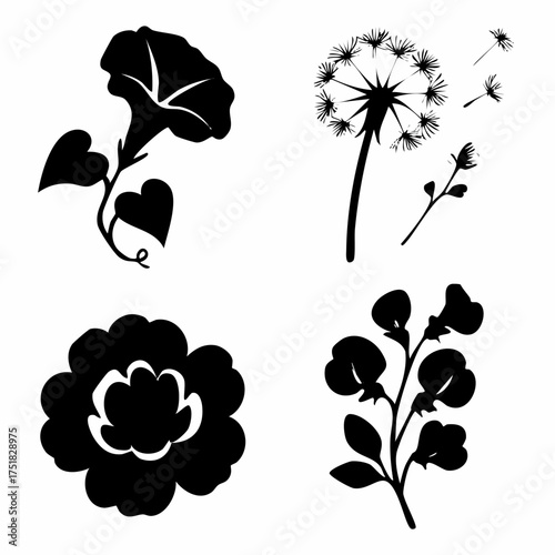 Elegant silhouettes of a morning glory vine a dandelion with puff seeds and a gardenia flower create a delicate botanical design