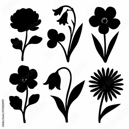 Elegant silhouettes of ranunculus freesia and anemone flowers with delicate layered blooms and bell shaped petals