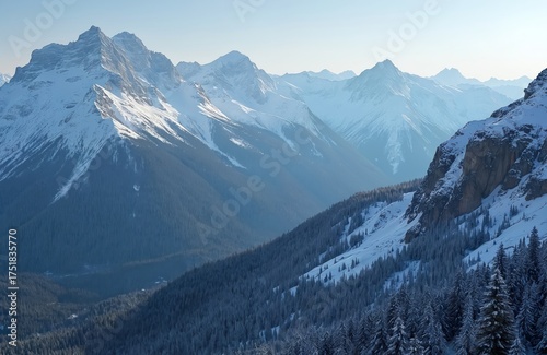 Wallpaper Mural Snow covered rocky mountain landscape in Colorado. Mountain peaks with snow, pine trees. Winter scenery with clear blue sky, sunny snowcapped mountains. Natural landscape with hills, forest. Scenic Torontodigital.ca