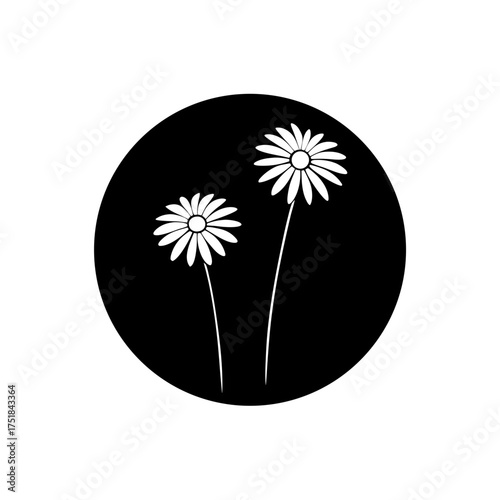 Two daisies in a black circle art on transparent background silhouette