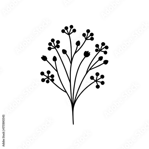 Simple floral branch with berries on transparent background silhouette