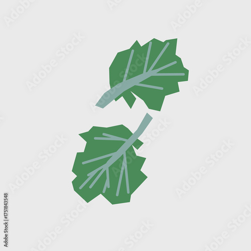 Fresh kale illustration. Simple icon of leafy greens for farmers market advertising. Vector symbol of harvested food in minimal flat style.