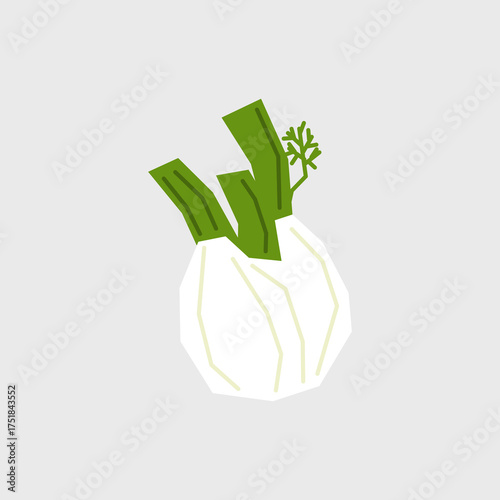 Fresh fennel illustration. Simple posters with root vegetable for farmers market advertising. Vector symbol of harvested salad vegetables in minimal flat style.