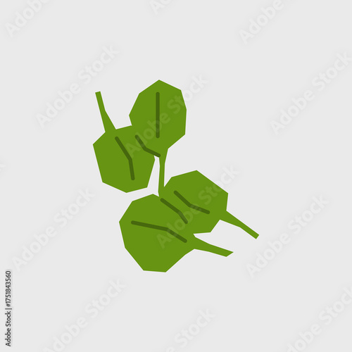 Fresh spinach illustration. Simple icon of leafy vegetable for farmers market advertising. Vector symbol of harvested spices in minimal flat style.