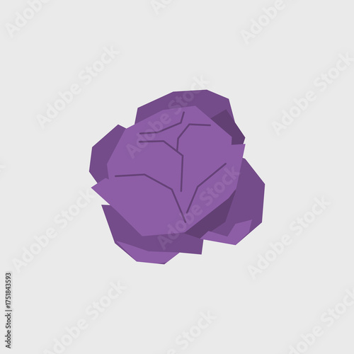 Fresh red cabbage illustration. Simple icon of cabbage vegetable for farmers market advertising. Vector symbol of harvested salad vegetables in minimal flat style.