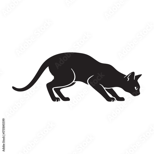 Abyssinians cat Smelling something, Alert Abyssinian Cat Hunting Stalking Crouch Silhouette outline vector, Abyssinian cat silhouette in a smelling/sniffing pose on white background