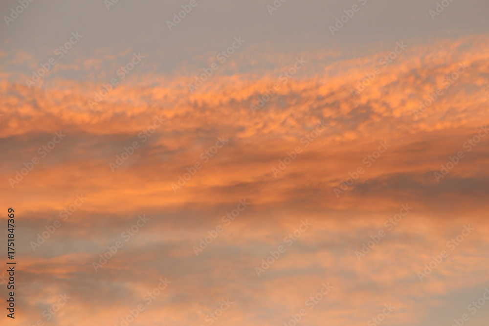 Fototapeta premium Clouds in the sky