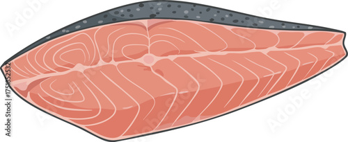 raw salmon steak