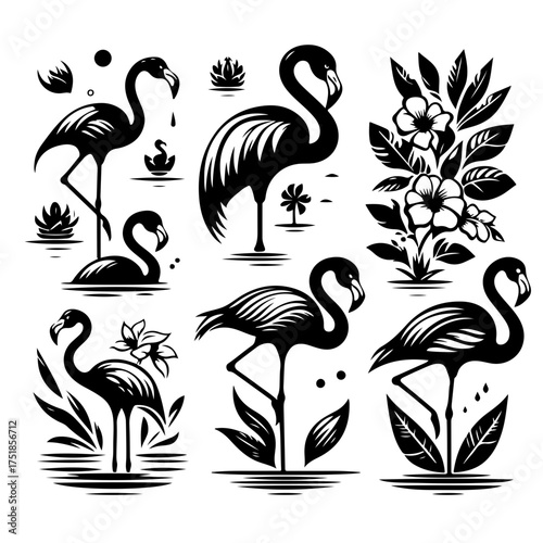 Collection of six stylized flamingo illustrations with floral and aquatic elements in black and white