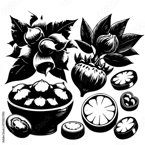 Illustration of a bowl of nuts, a nut on a stem, and several sliced nuts in black and white style