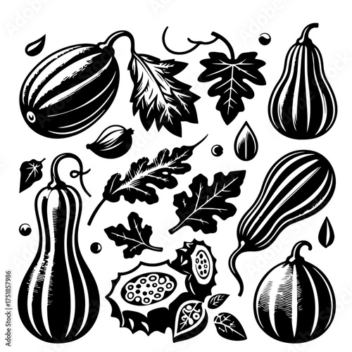 Black and white illustration of assorted pumpkins, gourds, leaves and seeds in vector format