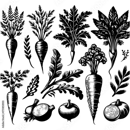 Illustration of various root vegetables including carrots and onions in black and white style art 100