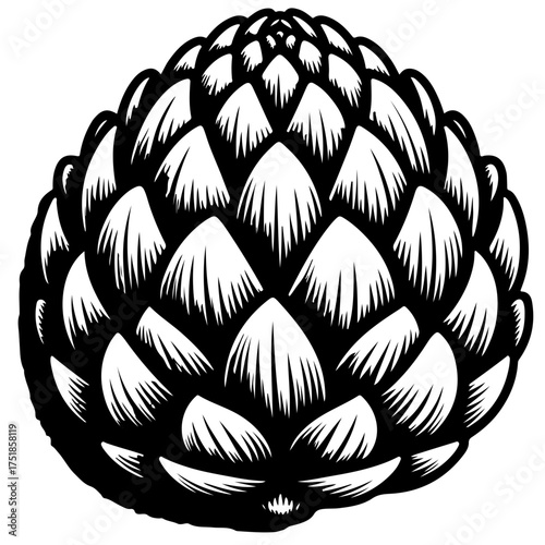 Illustration of a black and white artichoke with detailed petal like leaves in a round shape design
