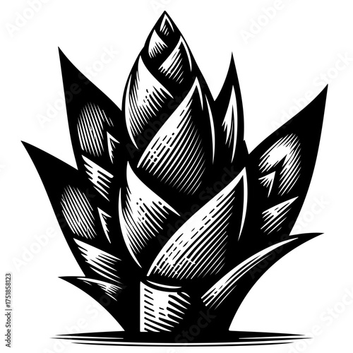 Illustration of a black and white artichoke with detailed hatching and sharp pointed leaves design element