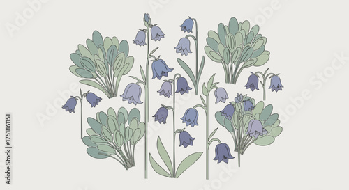 Illustration of bluebell flowers