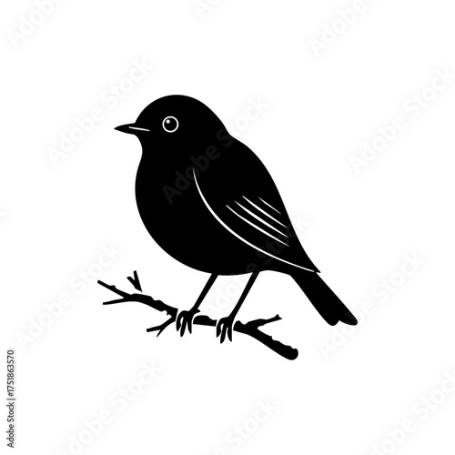 Small robin bird perched on a snow-covered branch, representing winter calm and seasonal serenity.
