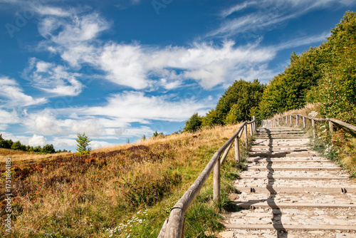 Fototapeta Naklejka Na Ścianę i Meble -  Bieszczady 