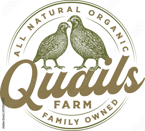 Fotografie Vintage classic hand drawn quail logo