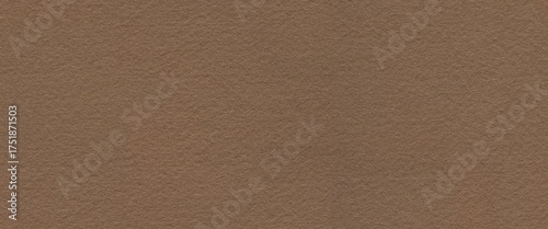 Wallpaper Mural Natural dark beige or soft brown seamless felt, velvet texture. Torontodigital.ca
