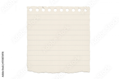 Torn blank ruled paper with punched holes from a spiral notebook, a memory note or message background, transparent