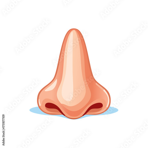 Illustration of a human nose in a modern cartoon style for anatomical and health concepts