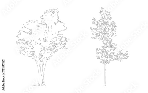 Architectural CAD Tree Drawing Set, Minimal Outline Trees for Landscape Design