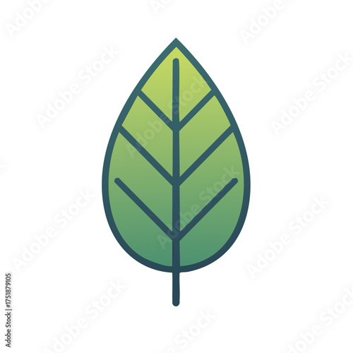 Stylized green leaf with gradient and simple vein illustration for nature and organic themes