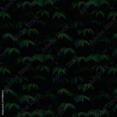 green forest background
