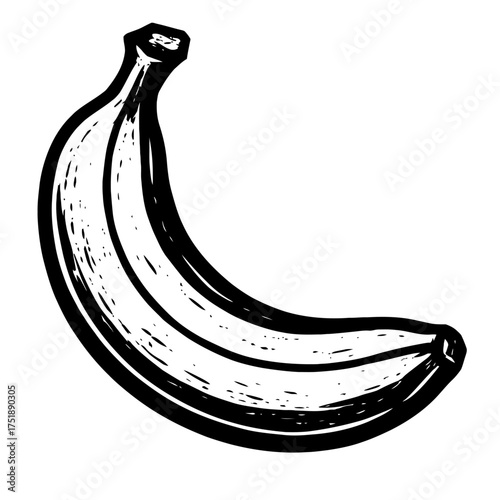 Stylized Black and White Banana Illustration, Hand-Drawn Sketch Art Graphic. A fresh, ripe tropical fruit, healthy food design element. Monochrome isolated image perfect for eco-friendly, organic, nat