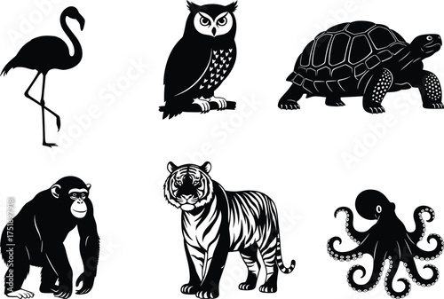 Animal silhouette set, flamingo, owl, tortoise, chimpanzee, tiger, octopus, black and white vector, wildlife clipart, isolated icons, commercial use