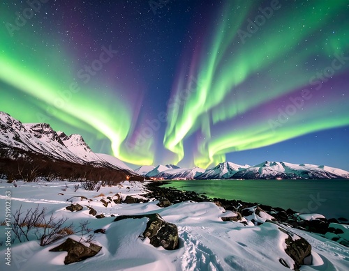 Vibrant aurora borealis display over a snow-covered coastal landscape at night