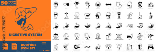 Digestive System Duotone editable icon set. Contain icons related to digestive, system, anatomy and more