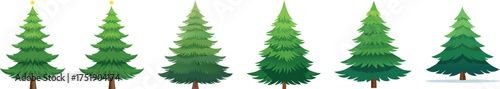  Evergreen Evolution: A captivating illustration showcases the vibrant stages of a lush green evergreen tree, from delicate sapling to a majestic presence.