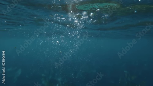 Wallpaper Mural Underwater view showcasing rising bubbles in blue water, near the surface. Light filters through Torontodigital.ca