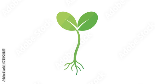 Vibrant Green Plant Sprout with Roots and Two Leaves.