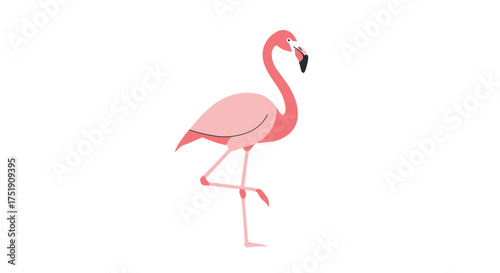 Elegant Pink Flamingo Standing on One Leg with Graceful Neck Curve.