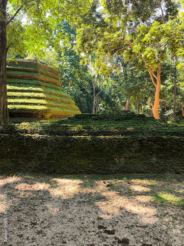 A nature trail in the forest with ancient sites and greenery from natural ferns.