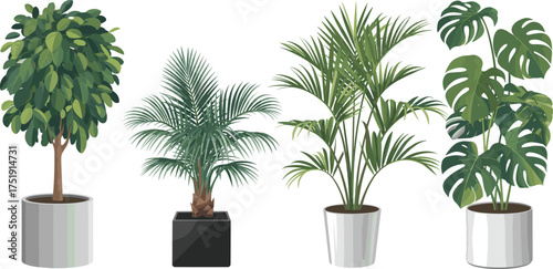 Realistic indoor potted plants collection with tropical foliage, houseplants in ceramic pots, green leaves illustration,