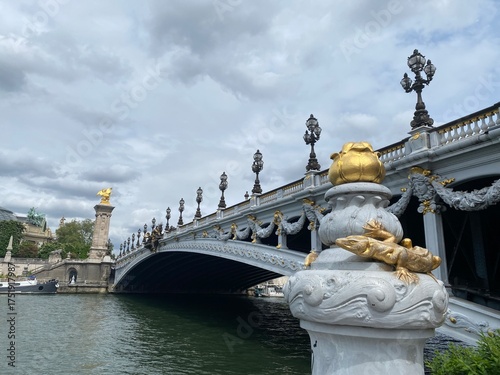 France, Paris, the most beautiful Bridge of Paris, Alexander III seen from the banks of the Seine.