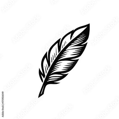 Bird feather icon. Vintage style feather